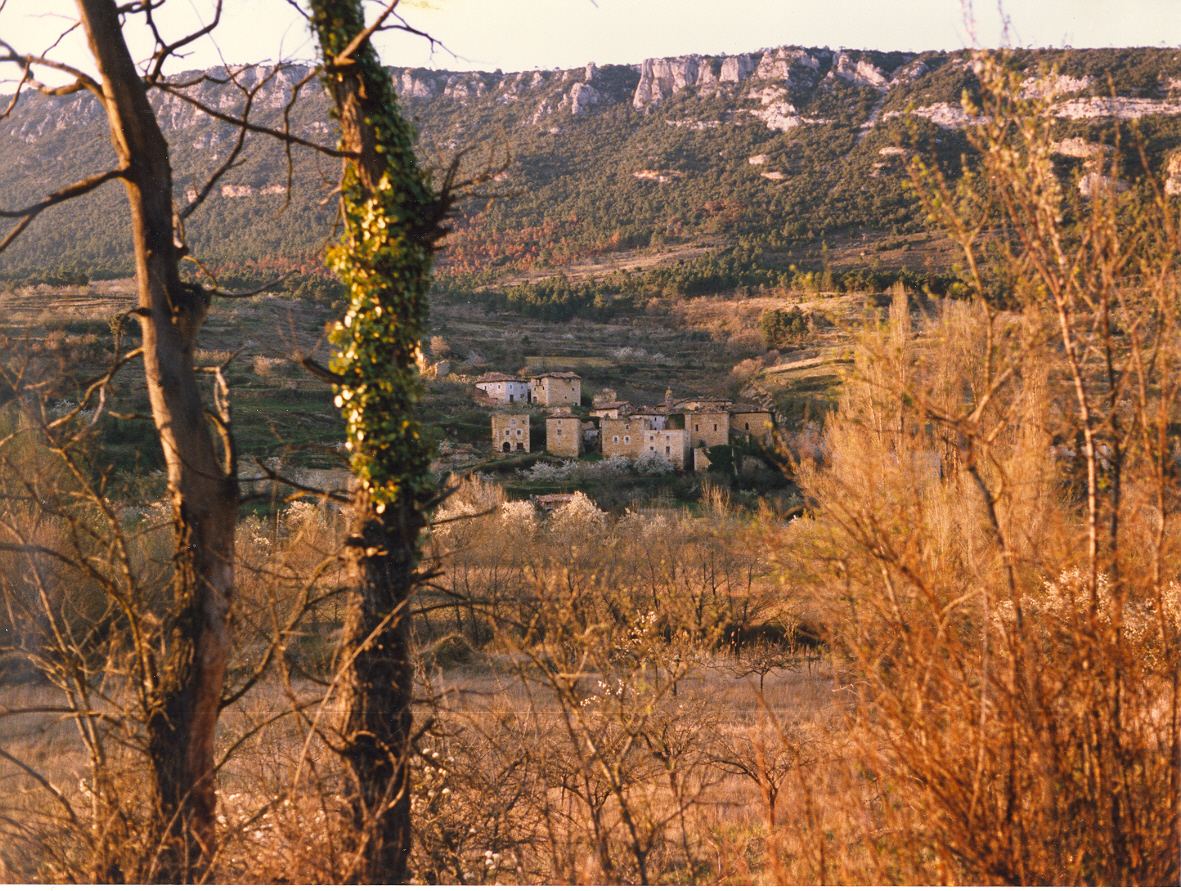 Tamayo (Burgos)
